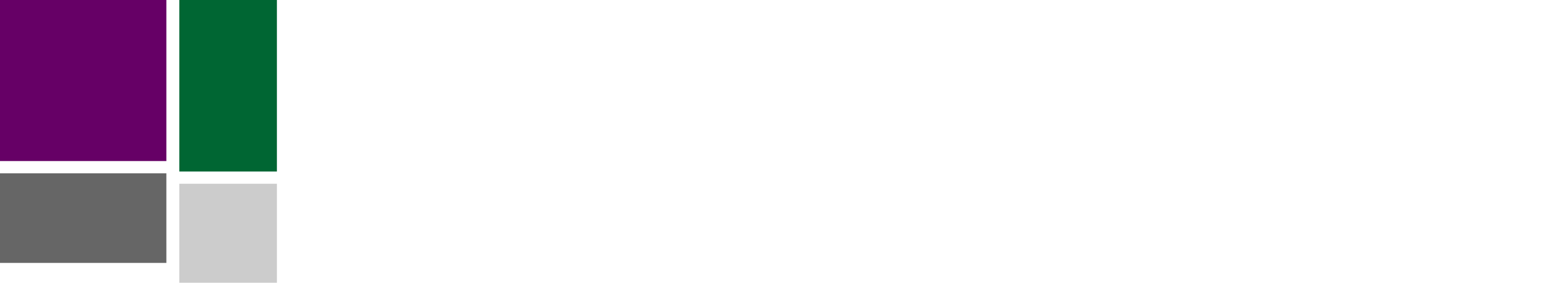 Slate Roofing